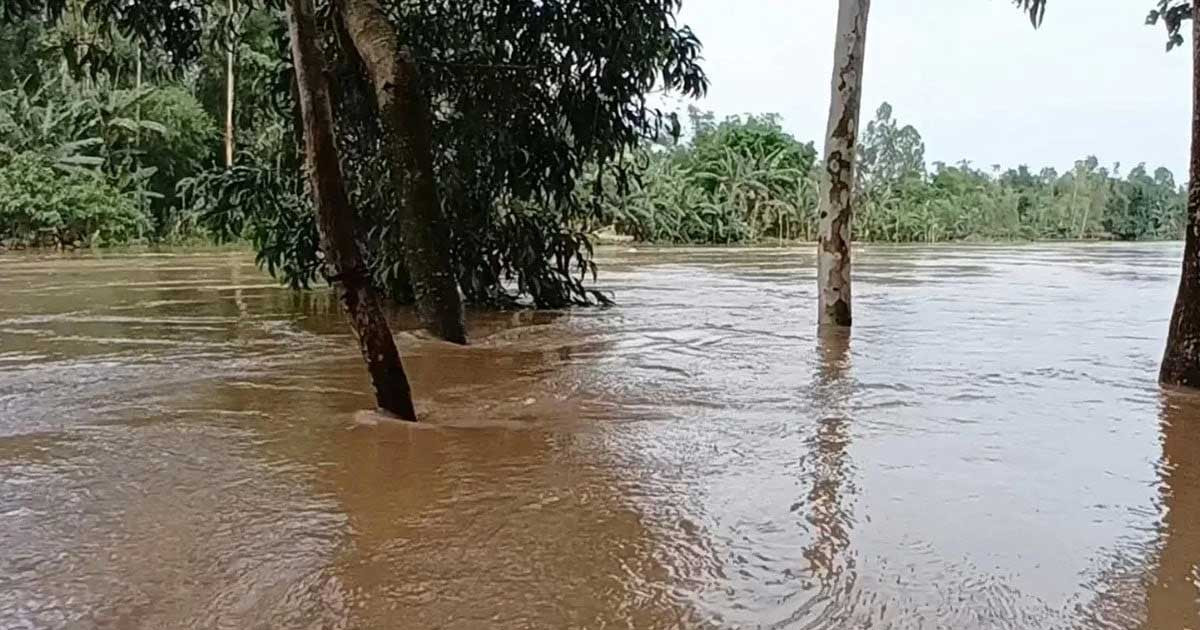 উজানের বৃষ্টিতে সিলেটের নদ-নদীর পানি বাড়ছে
