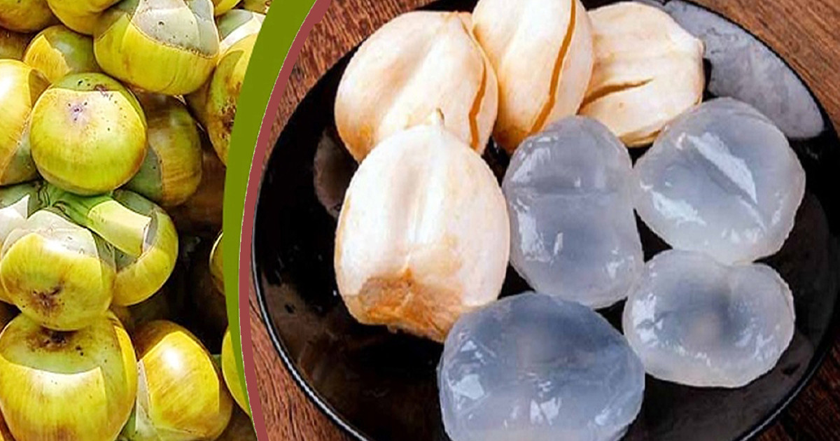 পুষ্টিতে ভরপুর তালের শাঁস, রোধ করে চুলপড়াও