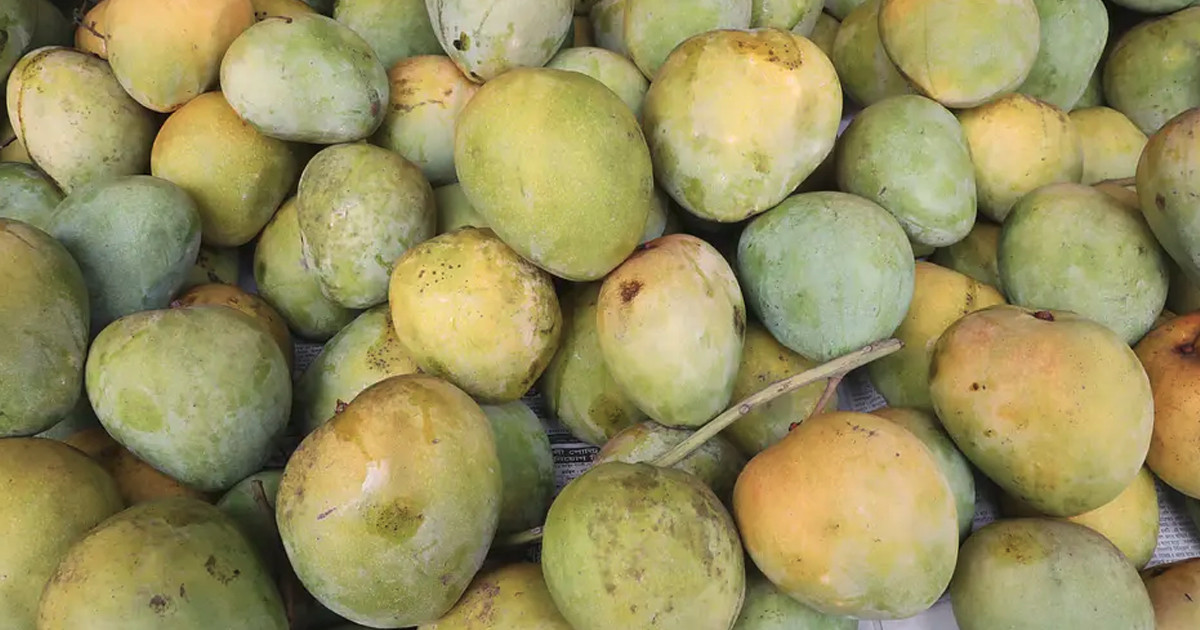 খালি পেটে আম খেলে কী হয়?