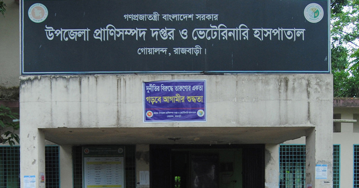 গোয়ালন্দে ছড়িয়ে পড়েছে বিরল রোগ, দুশ্চিন্তায় খামারিরা