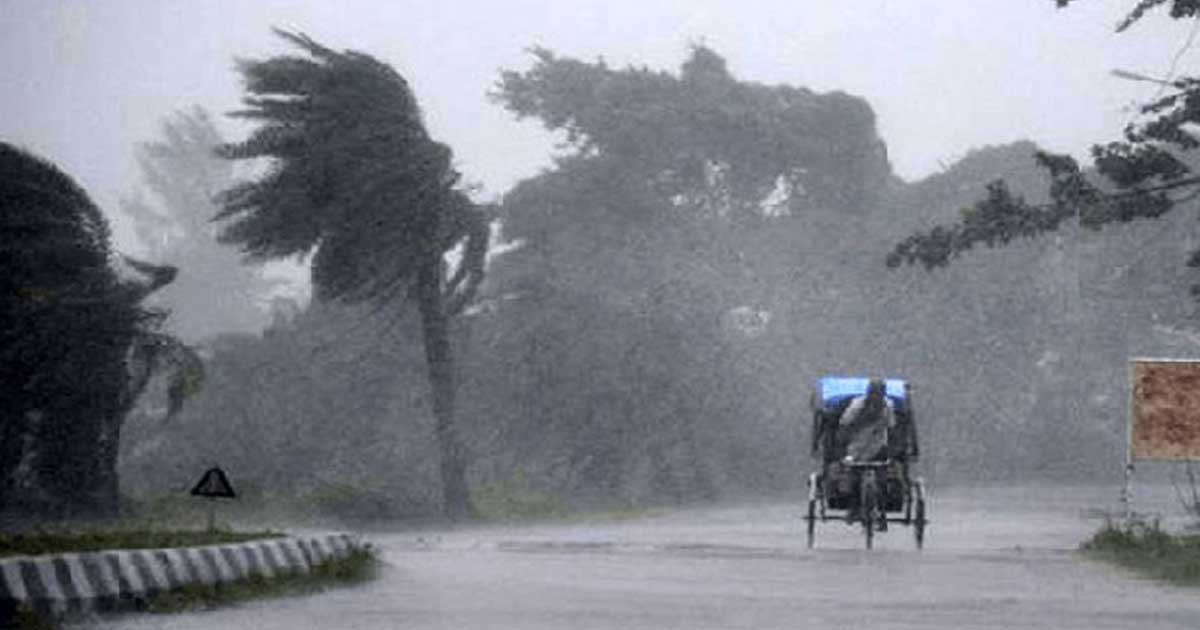 যেসব জেলায় সন্ধ্যার মধ্যে ঝড়সহ বৃষ্টি হতে পারে