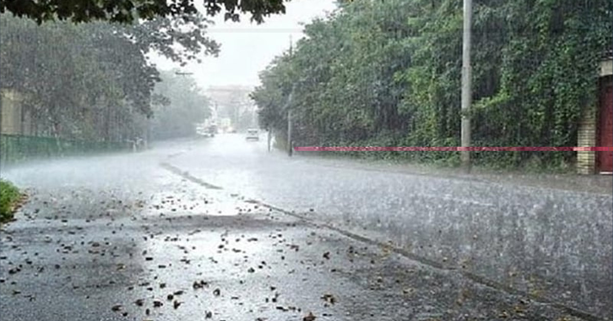 বৃষ্টির পর যে সুঘ্রাণ ছড়ায় তা কেন ভালো লাগে আমাদের?