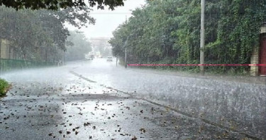 বৃষ্টির পর যে সুঘ্রাণ ছড়ায় তা কেন ভালো লাগে আমাদের?