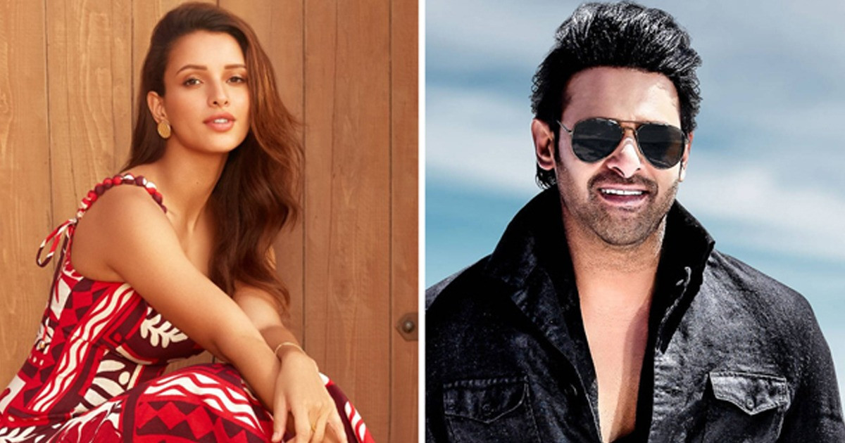 ‘স্পিরিট’ সিনেমায় প্রভাসের সঙ্গী তৃপ্তি দিমরি
