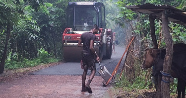 বৃষ্টির মধ্যেই চলছে সড়কে পিচ ঢালাই