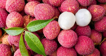সবাই কি লিচু খেতে পারবে?