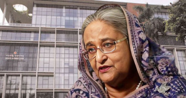 ‘শেখ হাসিনাকে ফেরাতে আন্তর্জাতিক আইনে পদক্ষেপ নেওয়ার সুযোগ আছে’