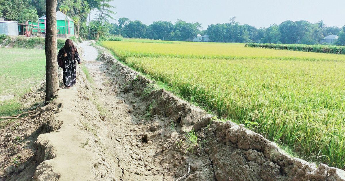রাস্তার কারণে বিয়ে হচ্ছে না মেয়েদের!