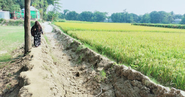 রাস্তার কারণে বিয়ে হচ্ছে না মেয়েদের!