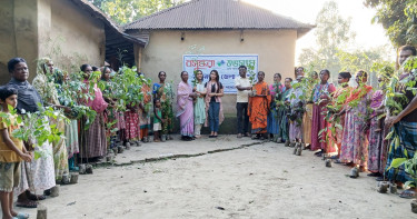 ঠাকুরগাঁওয়ে বসুন্ধরা শুভসংঘের ফলদ ও বনজ গাছের চারা বিতরণ