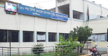 কুষ্টিয়ায় রাসেলস ভাইপারের কামড়ে প্রাণ গেল ২ জনের