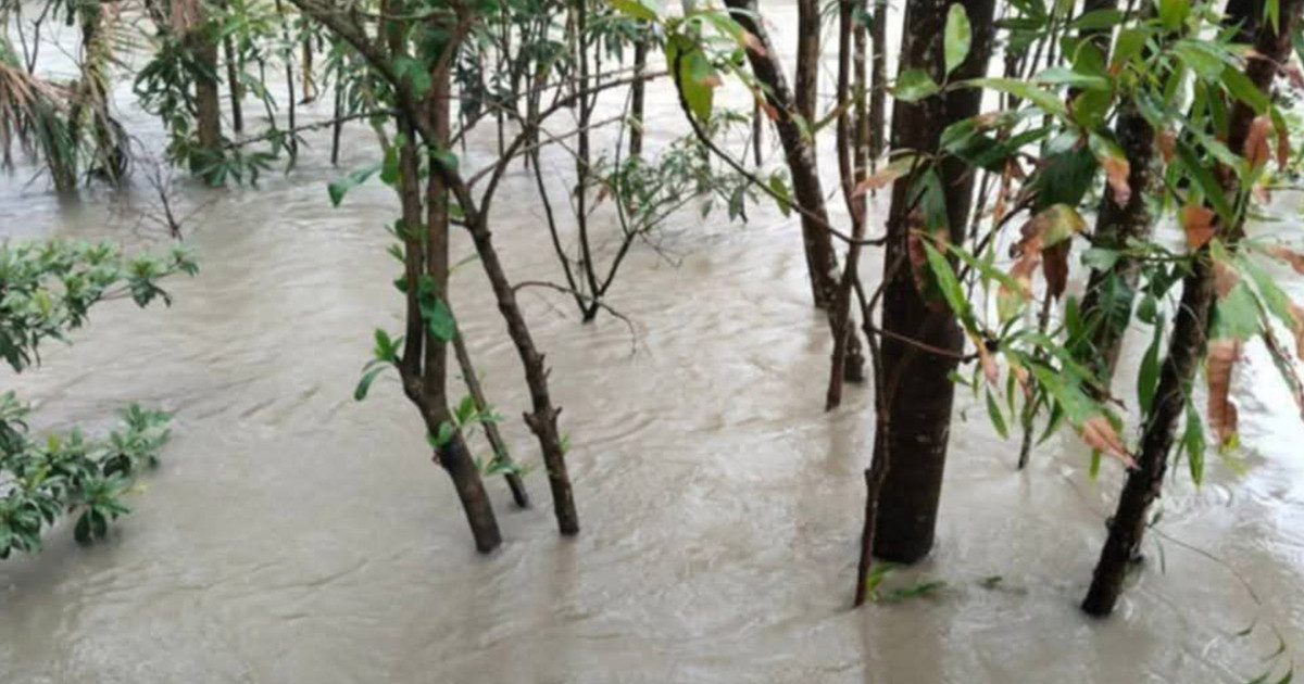 ফেনীতে ২৪ ঘণ্টায় ১৫৯ মিমি বৃষ্টির রেকর্ড