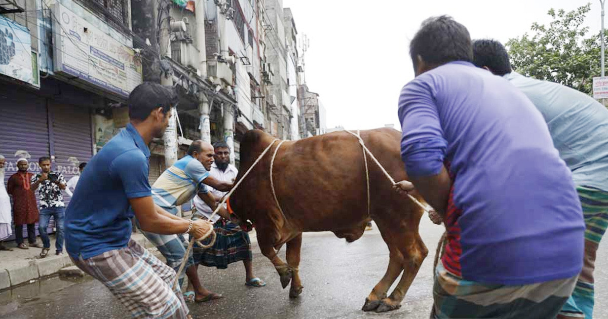 এবার যেমন থাকতে পারে কোরবানির পশুর দাম