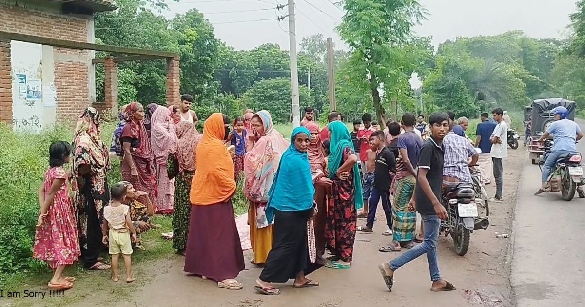 ধাক্কা দিয়ে পালিয়ে গেল ট্রাক, বাবার বাড়ি যাওয়া হলো না গৃহবধূর