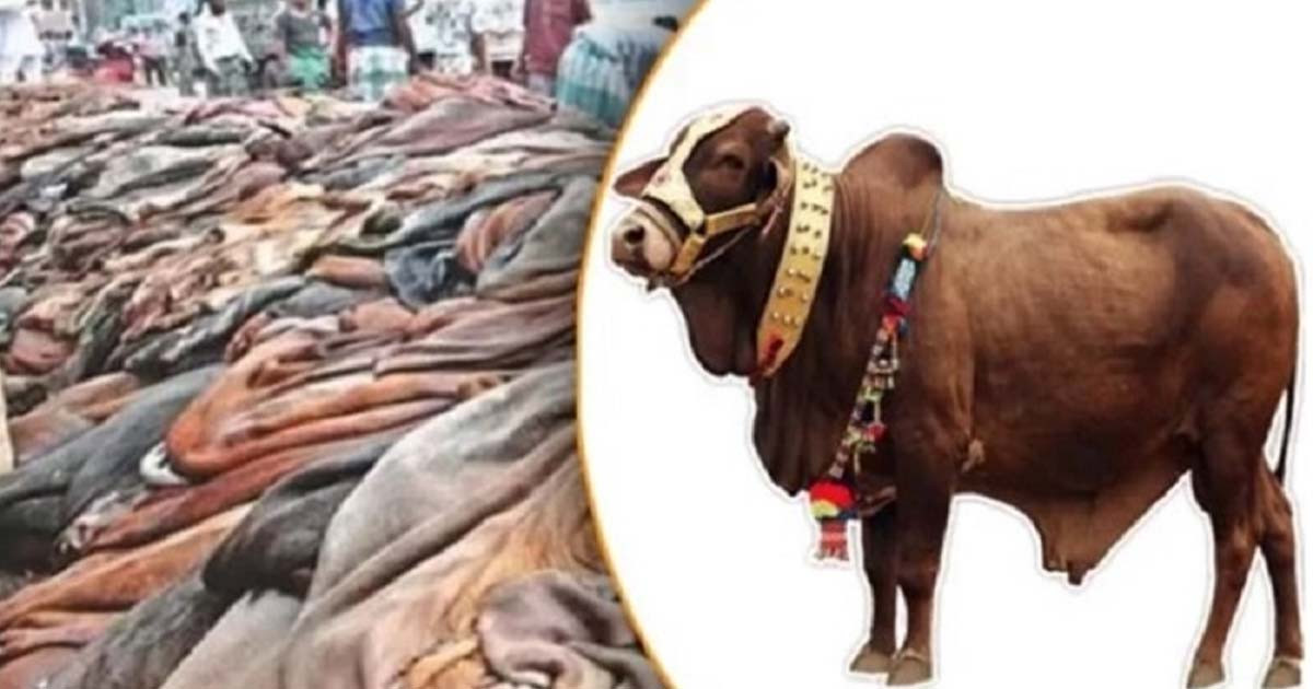 কোরবানির চামড়ার টাকা কী করবেন?