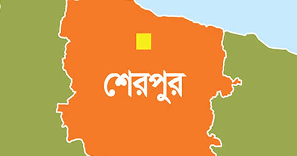 শেরপুরে পানিতে ডুবে ও বজ্রপাতে শিশুসহ ৪ জনের মৃত্যু