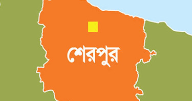 শেরপুরে পানিতে ডুবে ও বজ্রপাতে শিশুসহ ৪ জনের মৃত্যু