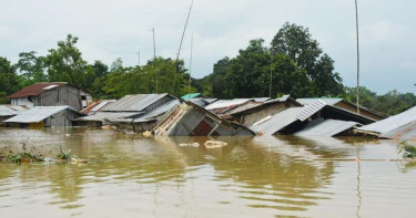 দুই ভয়াবহ বন্যার প্রসঙ্গ টেনে নতুন দুঃসংবাদ দিলেন এক গবেষক