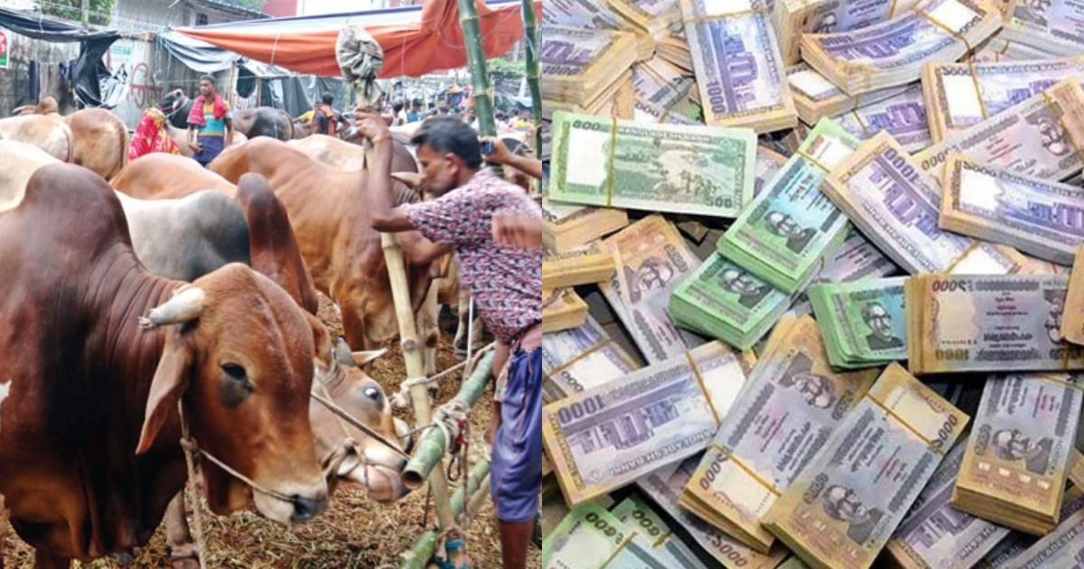 কোরবানির হাটে যেভাবে চিনবেন জাল টাকা