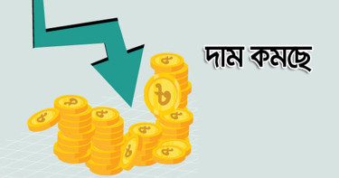 বিদ্যুৎ, ওষুধ, ইন্টারনেটসহ বাজেটে যেসব পণ্যের দাম কমছে