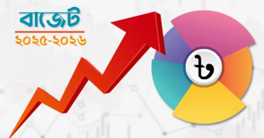 দাম বাড়ছে যেসব পণ্যের