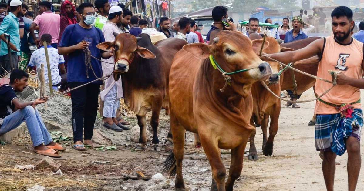 কোরবানির পশুর বিদ্রূপাত্মক নাম রাখা যাবে?