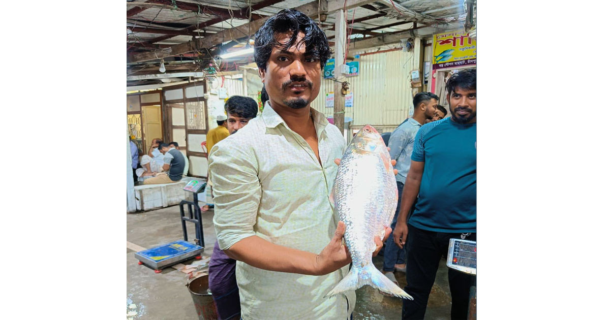 চাঁদপুরে এক ইলিশের দাম শুনে মাথায় হাত!