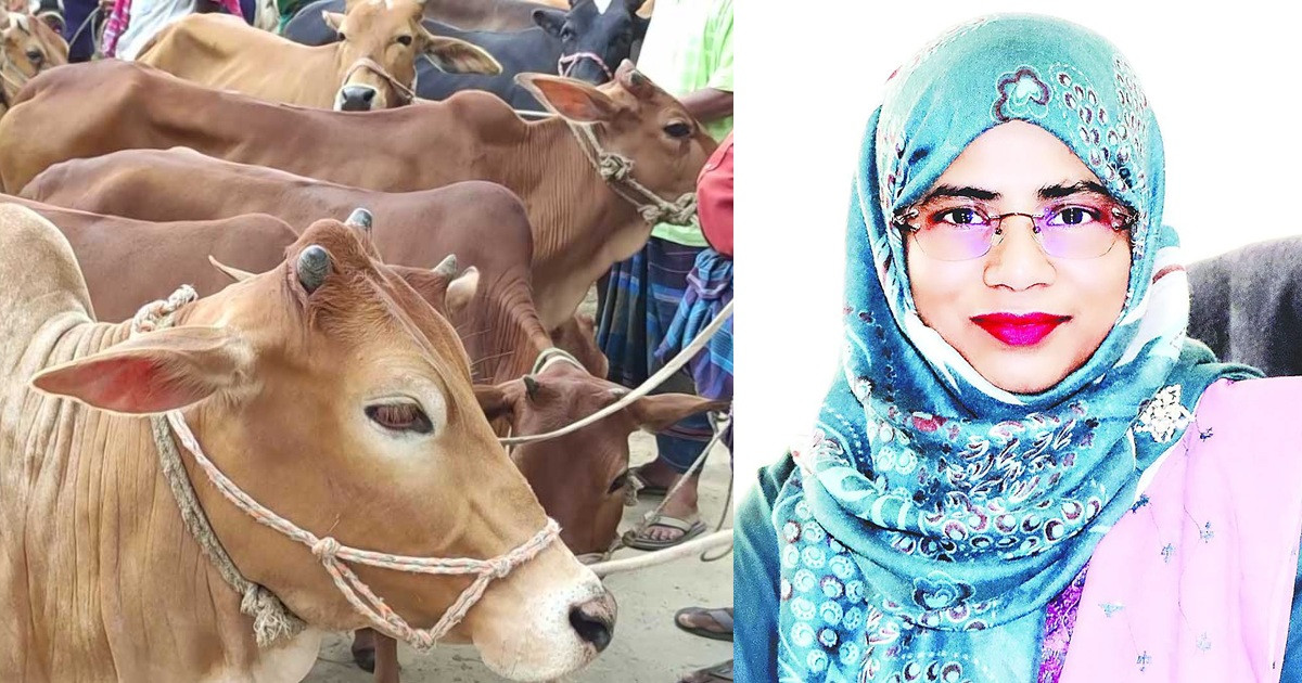 কোরবানির গরু কিনে ঠকবেন না, যদি মানেন সালমার পরামর্শ