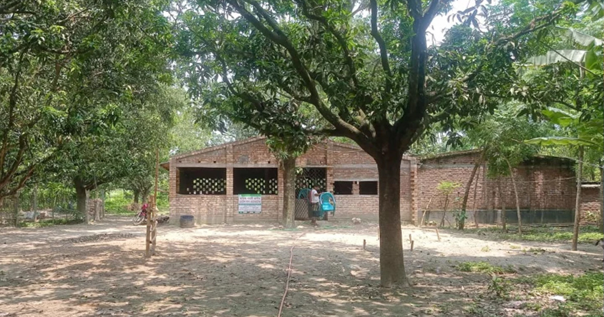 এবার গরুর জন্য ‘আবাসিক হোটেল’, সিট ভাড়া ৫০০ টাকা