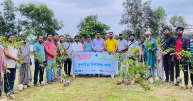 জীববৈচিত্র্য রক্ষায় কুলাউড়ায় কৃষকদের মাঝে শুভসংঘের গাছের চারা বিতরণ