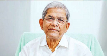 রাতে দেশে ফিরছেন মির্জা ফখরুল