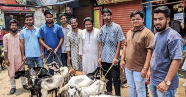 নারায়ণগঞ্জে ২১ শহীদ পরিবারে এনসিপির কোরবানির পশু উপহার