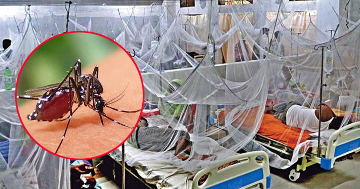 দেশে ডেঙ্গু আক্রান্ত হয়ে ২৬ জন বিভিন্ন হাসপাতালে ভর্তি