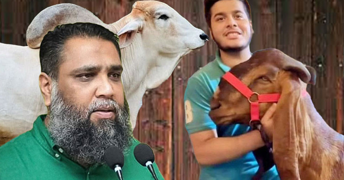 এবছর 'ছাগলকাণ্ডের' সেই সাদিক অ্যাগ্রোর ব্যবসায় ধস