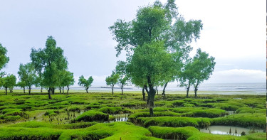 জালে আটকে ছিল সাড়ে ৭ ফুট লম্বা অজগর, অতঃপর...