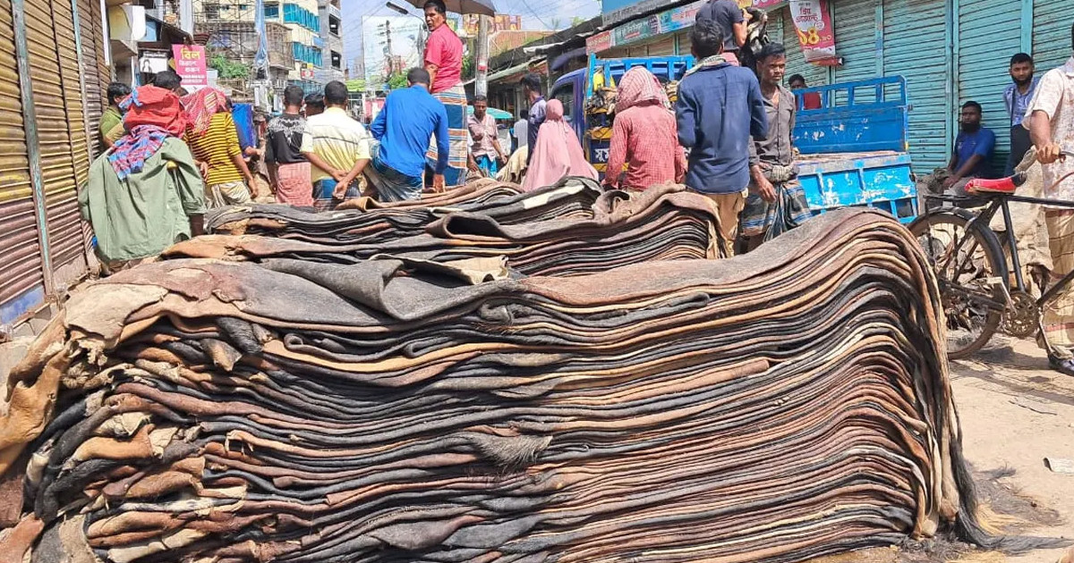 চামড়ার দাম কম, লোকসানের শঙ্কায় ব্যবসায়ীরা