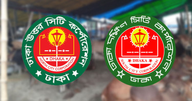 ঢাকায় গত বছরের তুলনায় অর্ধেক পশু কোরবানি