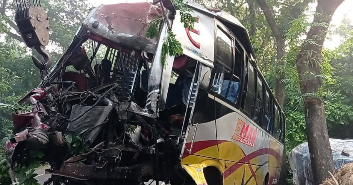 নিয়ন্ত্রণ হারিয়ে গাছের সঙ্গে ধাক্কায় দুমড়েমুচড়ে গেলো বাস, নিহত ১