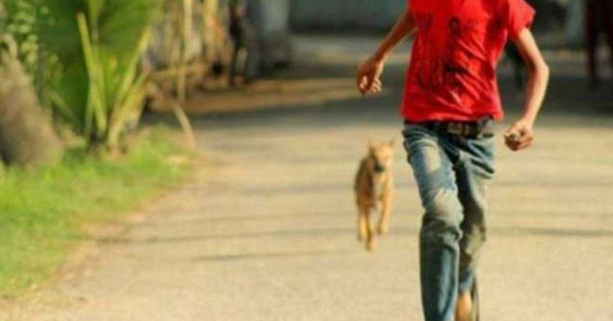 ব্রাহ্মণবাড়িয়ায় পাগলা কুকুরের কামড়ে আহত ৮