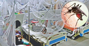 বরগুনায় ডেঙ্গুতে আরও একজনের মৃত্যু