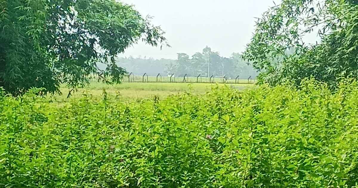 বিজিবি-গ্রামবাসীর বাধায় লালমনিরহাটে ব্যর্থ হলো বিএসএফ