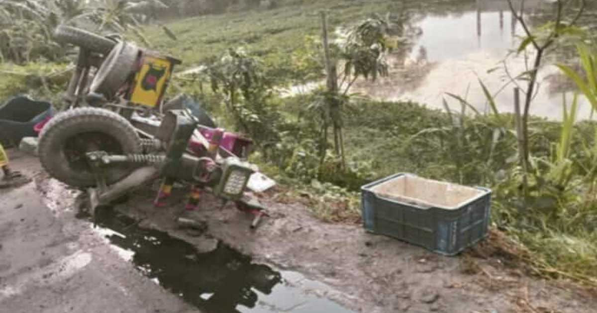 নারায়ণগঞ্জে সড়ক দুর্ঘটনায় মাছ ব্যবসায়ী নিহত