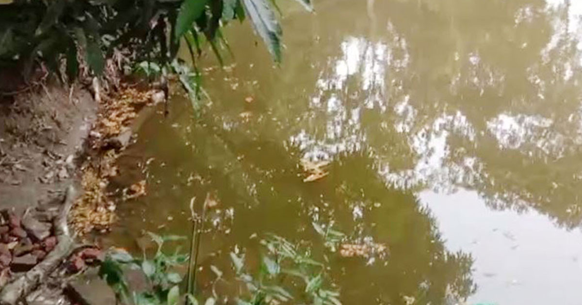 লোহাগাড়ায় পুকুরে ডুবে শিশুর মৃত্যু