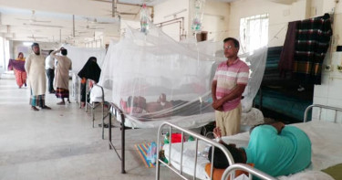 বরিশালে ডেঙ্গুতে প্রাণ হারালেন আরও একজন, হাসপাতালে ১৬৯
