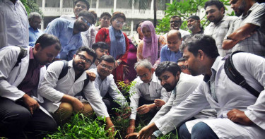 জুবাইদা রহমানের জন্মদিন উপলক্ষে ঢাকা মেডিকেল কলেজ প্রাঙ্গণে বৃক্ষরোপণ-দোয়া মাহফিল