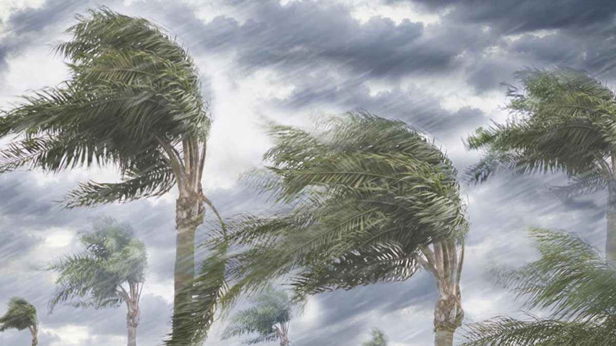 ১০ জেলায় ৬০ কিমি বেগে ঝড়ের শঙ্কা