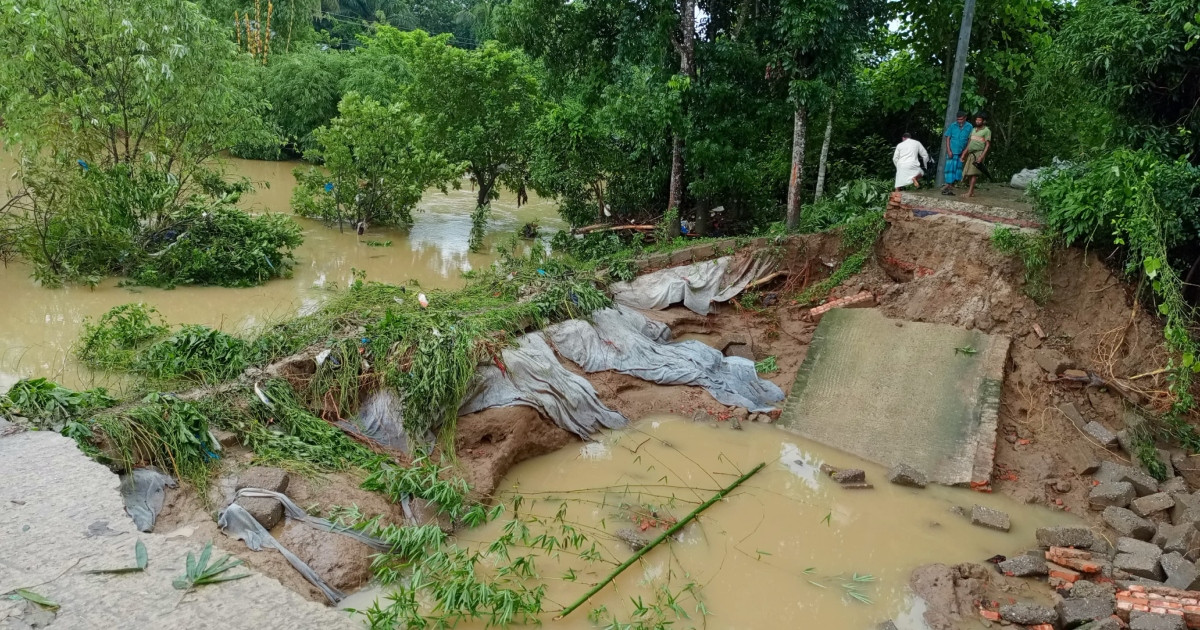 ফেনীতে বন্যা নিয়ন্ত্রণ বাঁধে চলছে সংস্কার