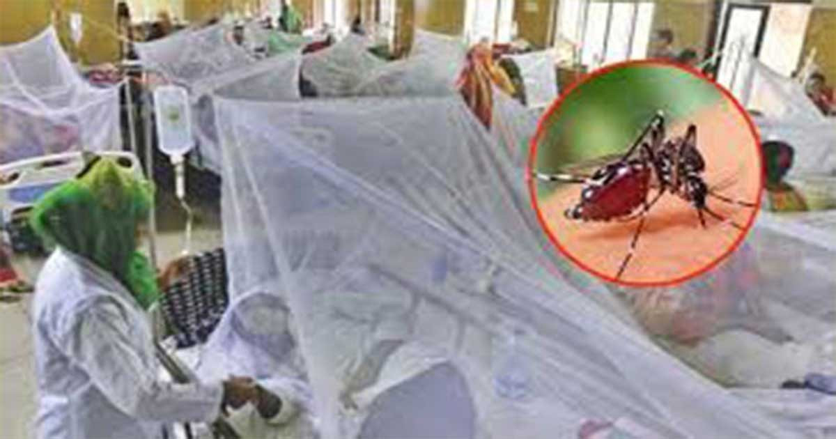 দেশে বাড়ছে ডেঙ্গুর প্রকোপ, হাসপাতালে ৩৫২