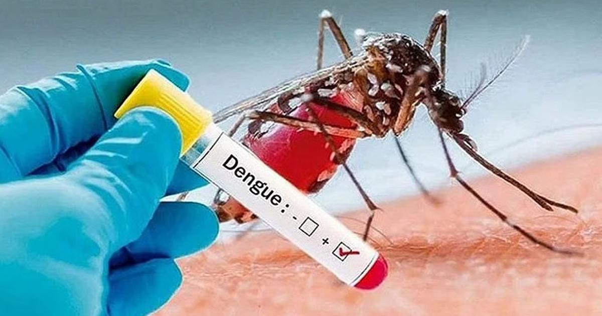 ডেঙ্গুতে আরও এক প্রাণহানি, আক্রান্ত কত?