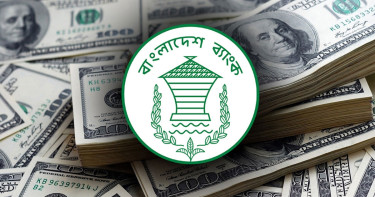 ২১ দিনে ২৪ হাজার কোটি টাকা ছাড়ালো প্রবাসী আয়